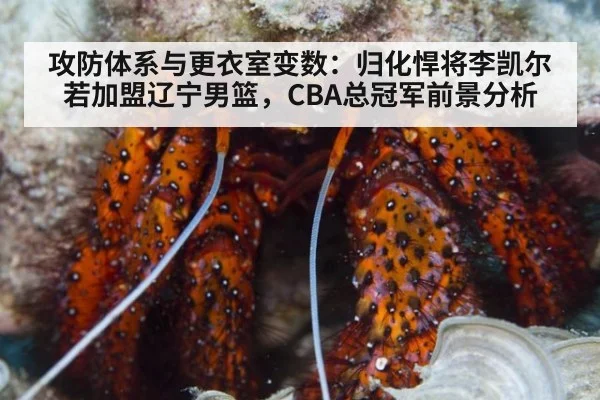 攻防体系与更衣室变数：归化悍将李凯尔若加盟辽宁男篮，CBA总冠军前景分析
