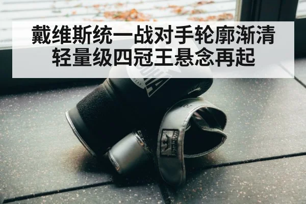 戴维斯统一战对手轮廓渐清 轻量级四冠王悬念再起